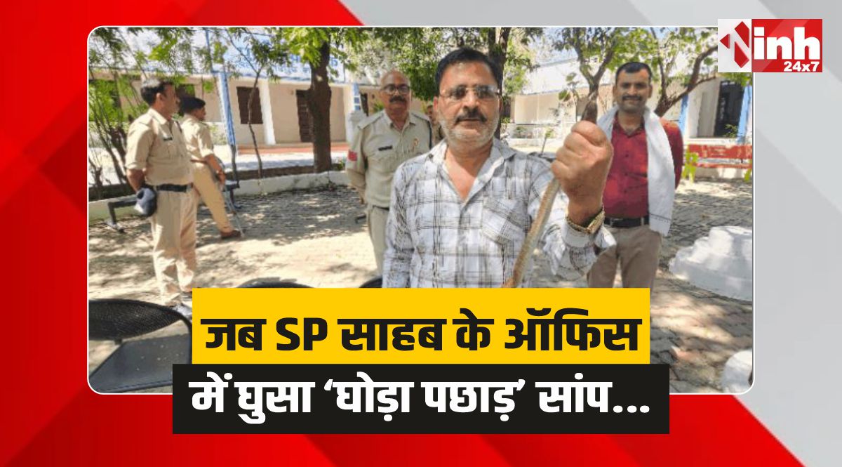SP Office Snake: जब SP साहब के ऑफिस में घुसा ‘घोड़ा पछाड़’ सांप...