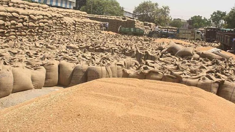 MP NEWS : जरूरी सूचना ! MP में 1 अप्रैल से शुरू नहीं होगी गेहू खरीदी, तारीखों में किया गया बदलाव, जानें वजह 