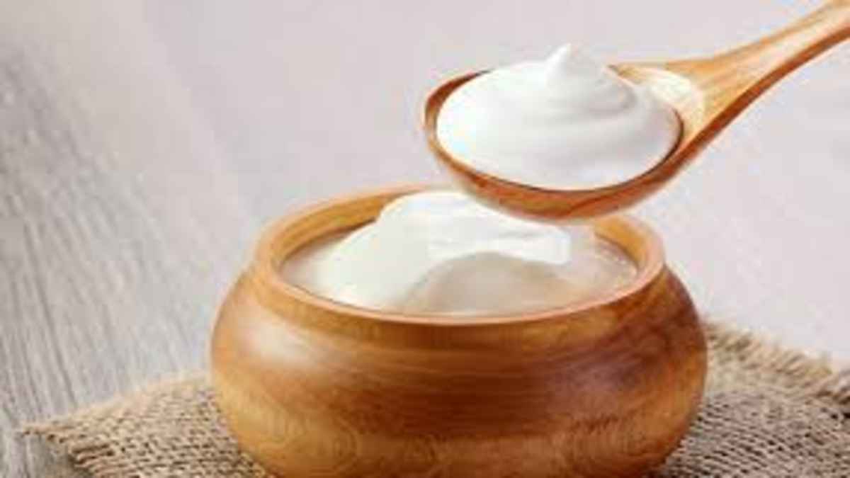 CURD BENEFIT : दही खाने के है अनेक फायदे, पाचन से लेकर इम्यूनिटी होती है मजबूत, बीमारियां रहती है दूर 