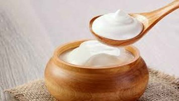 CURD BENEFIT : दही खाने के है अनेक फायदे, पाचन से लेकर इम्यूनिटी होती है मजबूत, बीमारियां रहती है दूर 