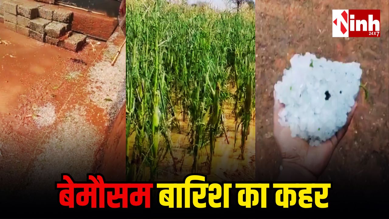 जशपुर में बेमौसम बारिश का कहर: ओलावृष्टि से तबाह हुई फसलें, किसानों ने मांगा मुआवजा...