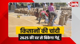 मध्यप्रदेश में गेहूं खरीदी, पहले दिन 1616 क्विंटल का उपार्जन