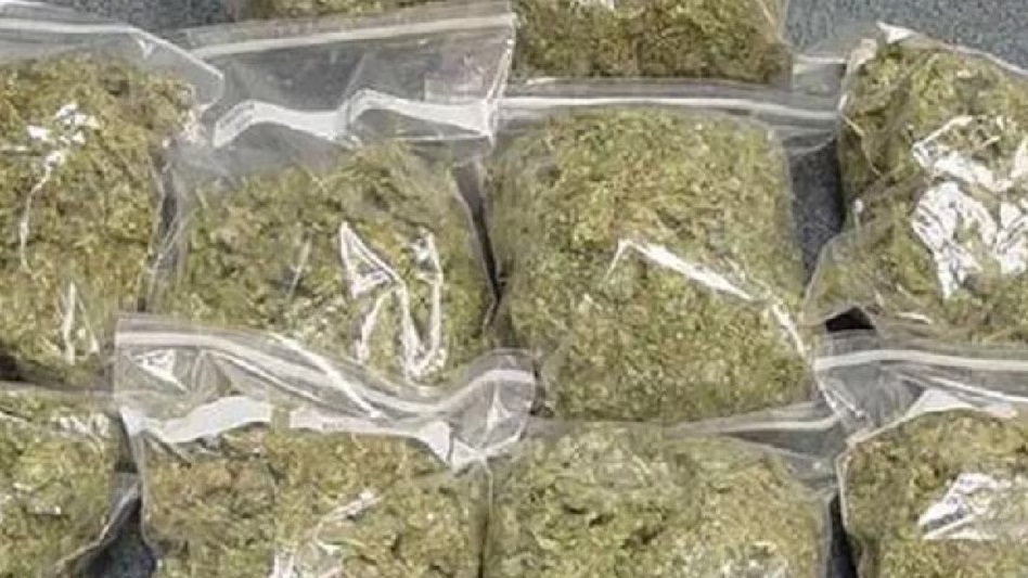 नागपुर में बड़ा ड्रग्स नेटवर्क बेनकाब! ट्रक से 210 किलो गांजा बरामद