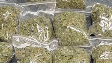 नागपुर में बड़ा ड्रग्स नेटवर्क बेनकाब! ट्रक से 210 किलो गांजा बरामद