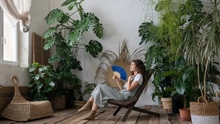 Natural Cooling Tips:  गर्मियों में घर को ठंडा रखने के लिए करें ये देसी जुगाड़, आसानी से कट जाएगी गर्मी, जानें तरीके 