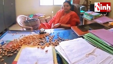 गुम फाइल के खिलाफ अनोखी लड़ाई: युवक ने अफसरों को दिए बादाम, दो अधिकारी निलंबित...