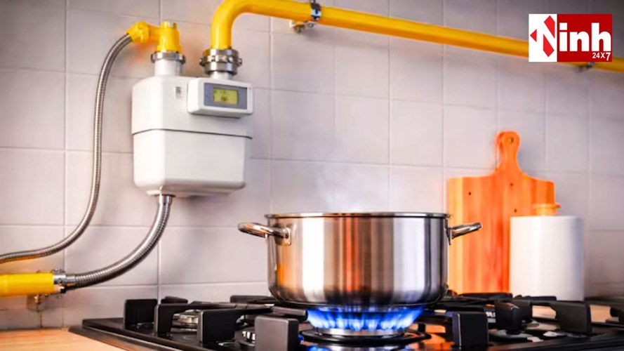 रायपुर में PNG गैस कनेक्शन का बड़ा विस्तार: 25 दिनों में 8000 घर जुड़ेंगे, दूसरे फेज में 15 हजार घरों का लक्ष्य...