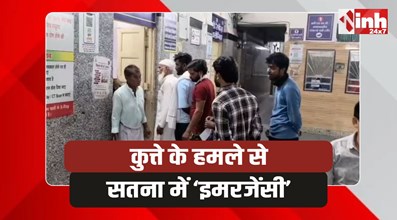 Satna Dog Bites: सतना में खूनी कुत्ते का तांडव,40 लोगों को किया लहूलुहान 