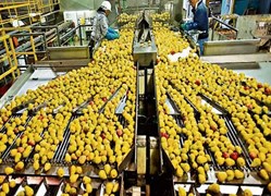 छत्तीसगढ़ में फूड पार्क योजना पटरी से उतरी: करोड़ों की जमीन खाली, कई जगह बदल रहा इस्तेमाल