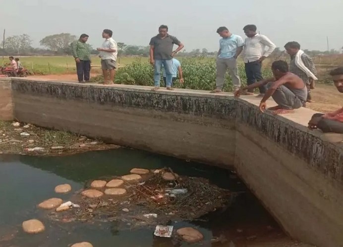 नहर में तैरते पैकेट्स ने खोला बड़ा राज: पास जाकर देखा तो निकला 73 किलो गांजा!