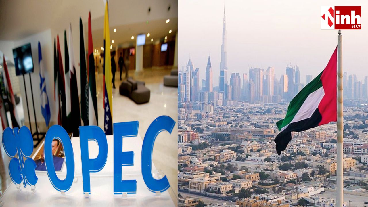 UAE का OPEC छोड़ना: भारत को सस्ता तेल, पाकिस्तान पर बढ़ेगा आर्थिक दबाव? जानें पूरा विश्लेषण...