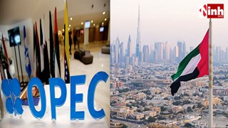 UAE का OPEC छोड़ना: भारत को सस्ता तेल, पाकिस्तान पर बढ़ेगा आर्थिक दबाव? जानें पूरा विश्लेषण...