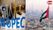 UAE का OPEC छोड़ना: भारत को सस्ता तेल, पाकिस्तान पर बढ़ेगा आर्थिक दबाव? जानें पूरा विश्लेषण...