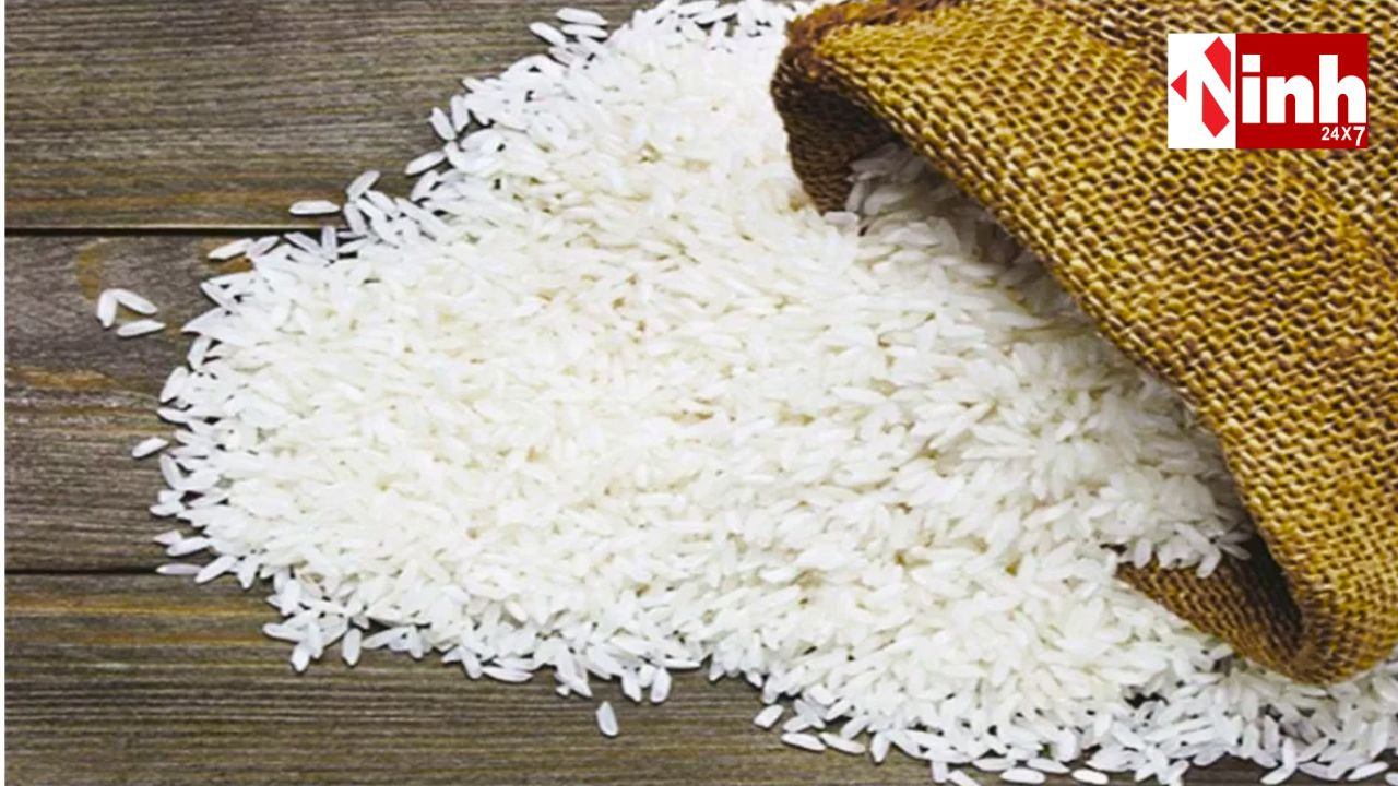 Rice Export Boost: छत्तीसगढ़ में गैर-बासमती चावल निर्यातकों को टैक्स से राहत, 1 साल तक छूट...