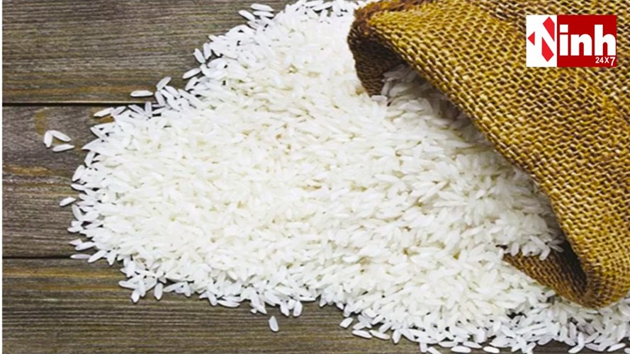 Rice Export Boost: छत्तीसगढ़ में गैर-बासमती चावल निर्यातकों को टैक्स से राहत, 1 साल तक रहेगी छूट...