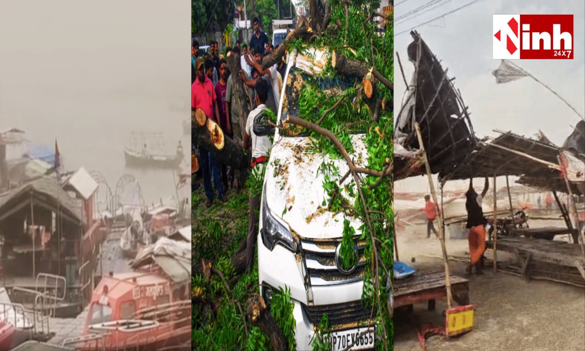 UP Storm News: आंधी-तूफान और बारिश से भारी तबाही, 89 लोगों की मौत, बिजली-पेड़ गिरने से हालात खराब...