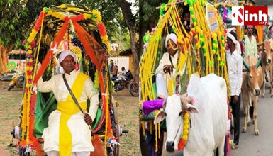 नारायणपुर में अनोखी बारात: पेट्रोल-डीजल बचाने बैलगाड़ी से पहुंचे दूल्हे, लोगों ने की सराहना...