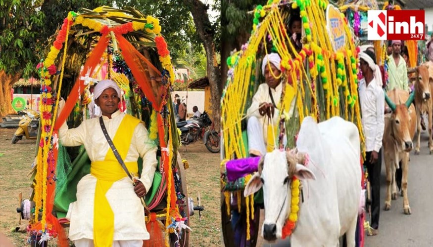 नारायणपुर में अनोखी बारात: पेट्रोल-डीजल बचाने बैलगाड़ी से पहुंचे दूल्हे, लोगों ने की सराहना...
