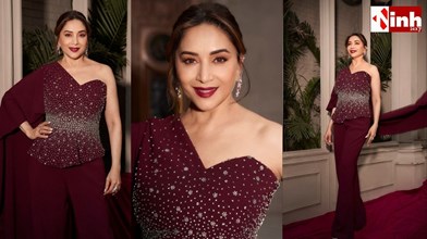 Madhuri Dixit Birthday Special: 59 की उम्र में भी बरकरार है माधुरी का जादू, जानिए उनकी सबसे यादगार फिल्में...