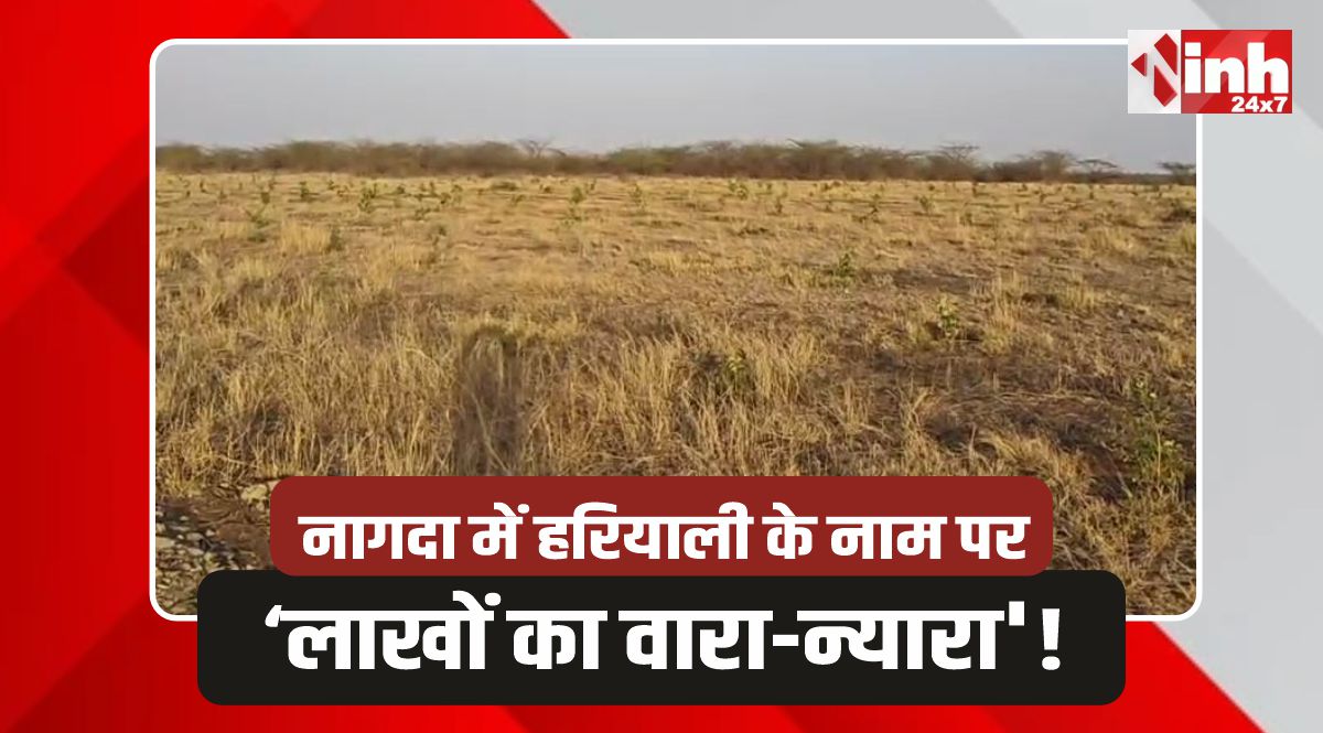 Nagda Forest: नागदा में वन विभाग का कागजी जंगल! 20 लाख फूंककर लगाए 10 हजार पौधे 