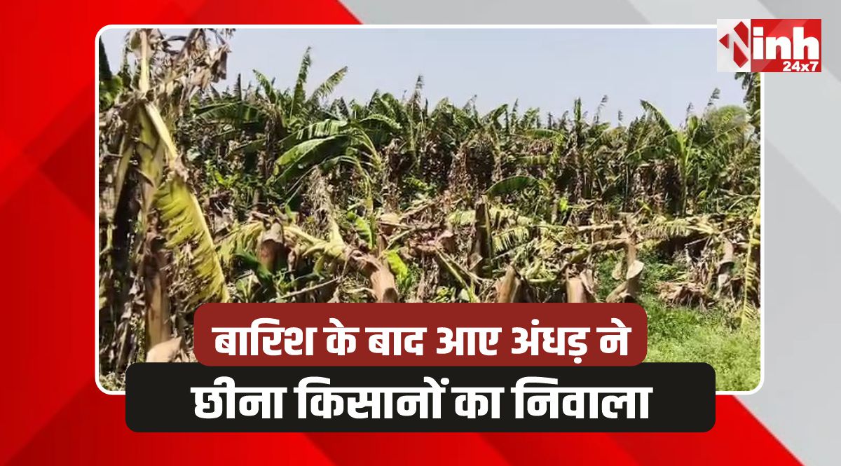 Burhanpur Farmer: बुरहानपुर में कुदरत का कहर, आंधी ने उजाड़ी किसानों की फसल