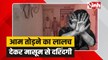 Jashpur Rape: जशपुर में आम तोड़ने के बहाने नाबालिक बच्ची के साथ दुष्कर्म 