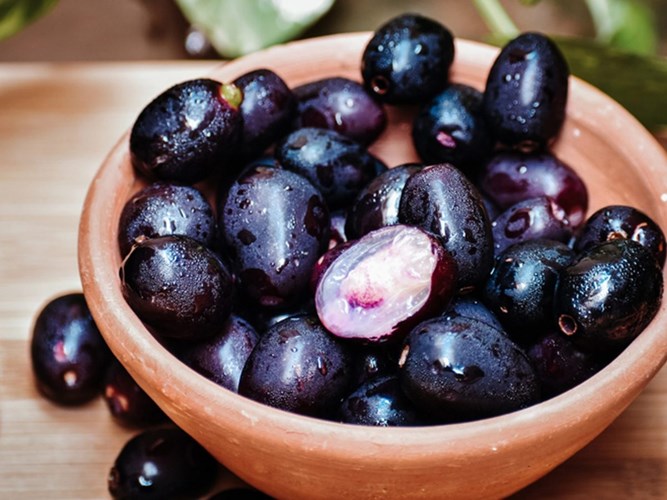 Health Benefits Of Jamun:  जामुन में छुपे है कई गुण, खूबसूरती बढ़ाने में करें मदद,  बीमारियों को रखें दूर 