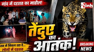  कांकेर में Leopard Attack, लगातार हमलों से सहमे ग्रामीण; वन विभाग हाई अलर्ट पर