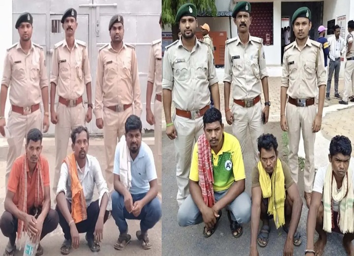 उदंती-सीतानदी टाइगर रिजर्व में वन विभाग की बड़ी कार्रवाई: अवैध लकड़ी और शिकार के उपकरण बरामद; 6 आरोपी गिरफ्तार