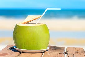Coconut Water Benefits:  नारियल पानी के है अनगिनत फायदे, नहीं पड़ेंगे बीमार, रोजाना सेवन से दिल दिमाग को जाएगा तंदरुस्त 