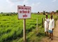 RTI आवेदन पर समयसीमा में नहीं मिला जवाब, प्रथम अपील के बाद हरकत में आया वन विभाग