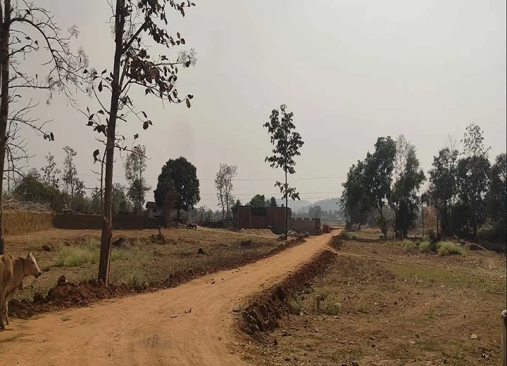 अवैध प्लाटिंग का आरोप, बिना डायवर्सन कृषि भूमि के 40 से अधिक प्लॉट बेचने का दावा