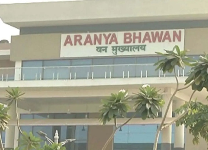 छत्तीसगढ़ में IFS अधिकारियों की पोस्टिंग, 2024 बैच के 5 प्रशिक्षु बने उप वनमंडलाधिकारी