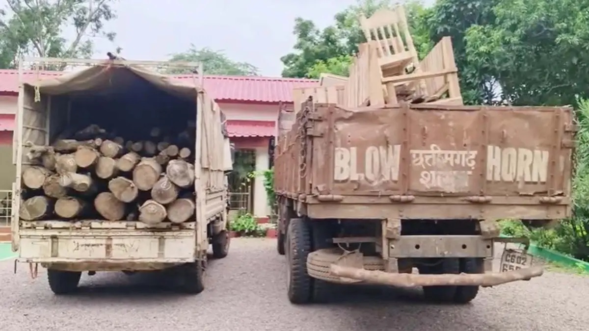 अवैध लकड़ी कारोबार पर शिकंजा, सरपंच पति के परिसर से सागौन-खम्हार की लकड़ी और फर्नीचर जब्त