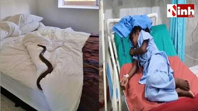 आधी रात हॉस्टल में घुसा जहरीला सांप, सो रही 6 छात्राओं को बनाया शिकार; 3 ने तोड़ा दम