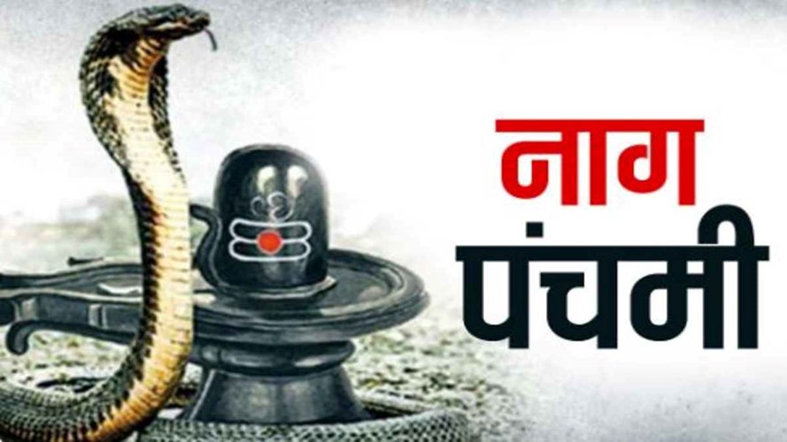 Nag Panchami 2026:  नाग पंचमी के दिन भूलकर भी न करें ये गलतियां,  बढ़ सकती है परेशानी, महादेव हो सकते हैं नाराज