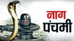 Nag Panchami 2026:  नाग पंचमी के दिन भूलकर भी न करें ये गलतियां,  बढ़ सकती है परेशानी, महादेव हो सकते हैं नाराज
