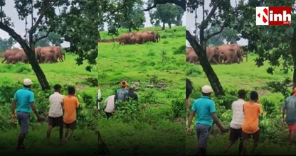 सावन में कैलाश गुफा जाने वालों के लिए खतरा! जंगल में घूम रहा 30 हाथियों का झुंड