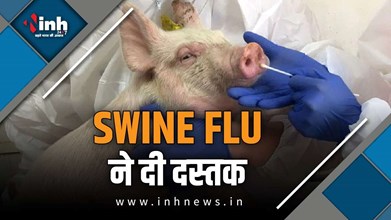 ujjian news : उज्जैन में 60 वर्षीय महिला की स्वाईन फ्लू से मौत, भोपाल में 6 मरीजों की हुई पुष्टि, अलर्ट मोड में प्रसाशन 