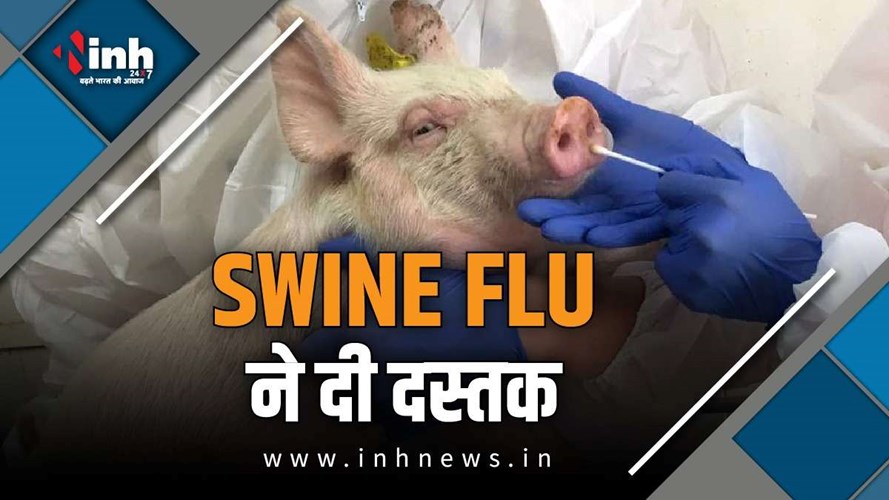 ujjian news : उज्जैन में 60 वर्षीय महिला की स्वाईन फ्लू से मौत, भोपाल में 6 मरीजों की हुई पुष्टि, अलर्ट मोड में प्रसाशन 