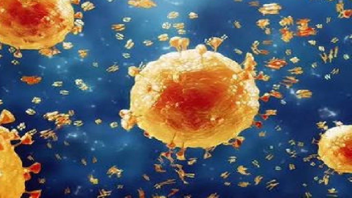 indore news : इंदौर में H1N1 को लेकर स्वास्थ्य विभाग अलर्ट, लोगों को सावधानी बरतने की सलाह