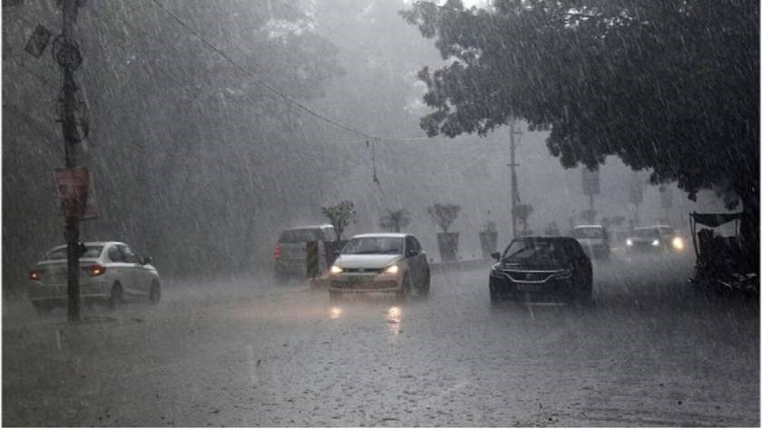 MP Weather:  MP के 19 जिलों में भारी बारिश का अलर्ट, श्योपुर - शिवपुरी में जमकर बरसेंगे बादल, जानें आपके शहर का हाल 