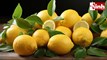 Lemon Leaves Benefits: नींबू के पत्ते भी हैं सेहत का खजाना, जानिए इनके 6 संभावित फायदे