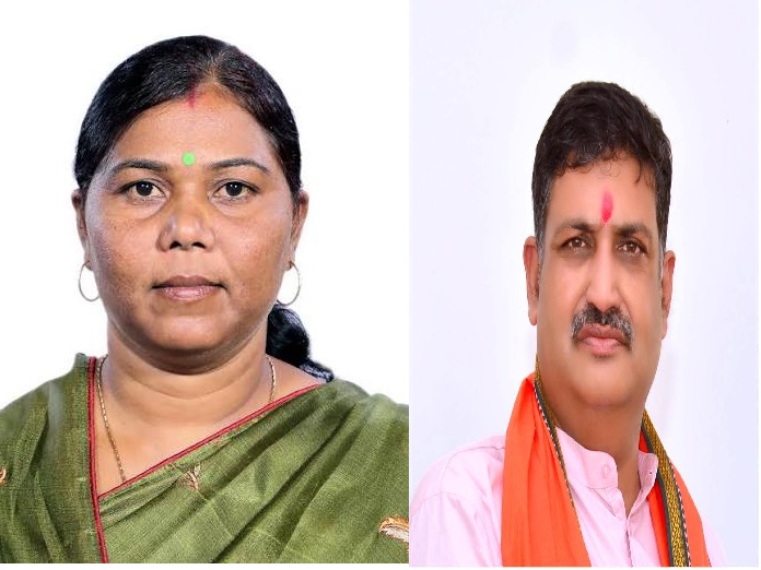 भाजपा संगठन में छत्तीसगढ़ के दो नेताओं को नई जिम्मेदारी, गोमती साय गुजरात तो सौरभ सिंह झारखंड के सहप्रभारी