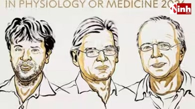 Nobel Prize 2026: तीन वैज्ञानिकों को मेडिसिन का नोबेल, प्रकाश से मस्तिष्क की कोशिकाओं को कंट्रोल करने की खोज