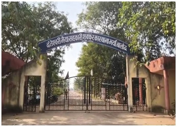 छत्तीसगढ़ के गन्ना किसानों को बड़ी सौगात, बोनस की दर बढ़ी; मिलेंगे 51 करोड़ रुपये