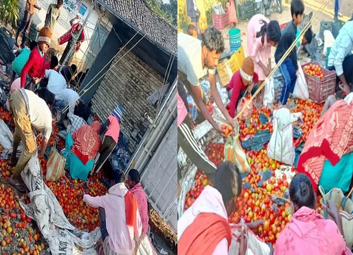 टमाटर से भरी पिकअप पलटी, सड़क पर बिखरे टमाटर तो लूटने की मची होड़